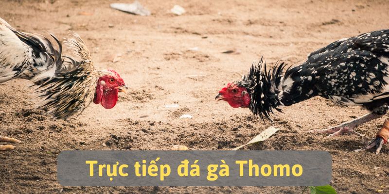 em trực tuyến tiết kiệm thời gian, không cần di chuyển nhiều